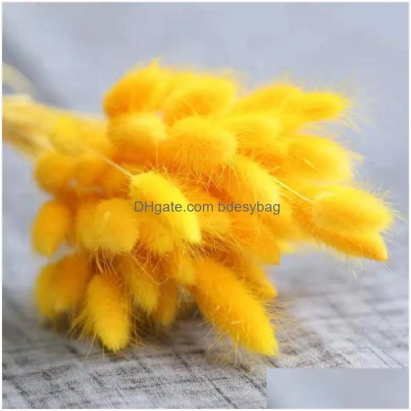 decorative flowers 50pcs natural tail grass set dried artificial christmas tree year decoration wedding