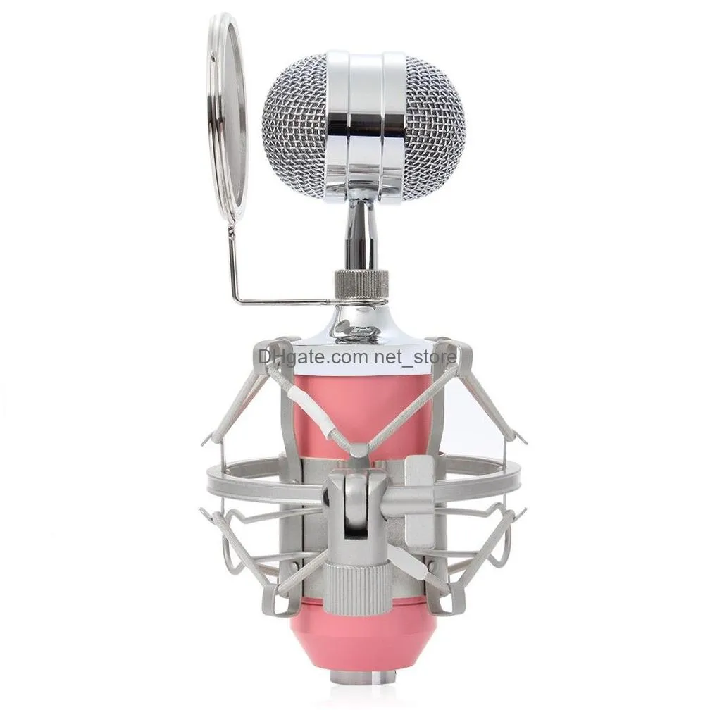 bm8000 professional sound studio recording condenser wired microphone 3.5mm plug stand holder  filter for ktv karaoke