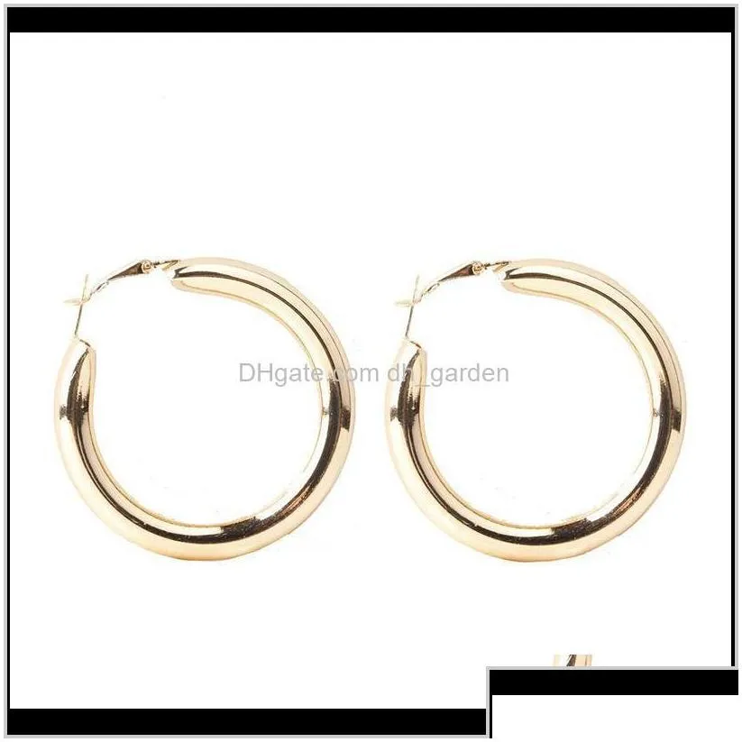 hie classic punk style thick hoop earring for women girls sier gold plating hiphop geometric earrings fashion jewelry wh