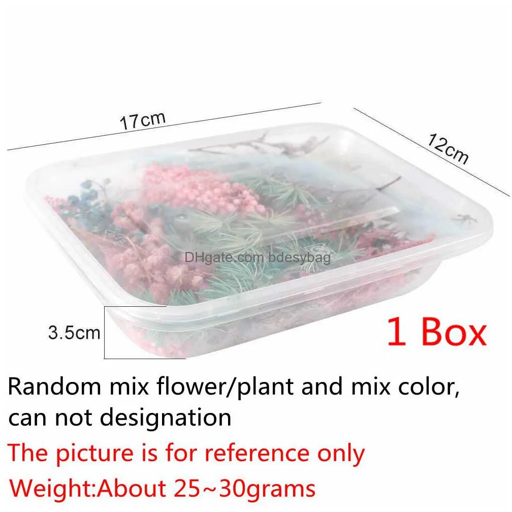 1 box real dried flower dry plants for aromatherapy candle epoxy resin pendant necklace jewelry making craft diy accessories