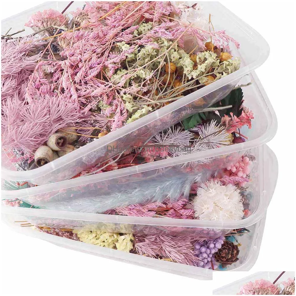 1 box real dried flower dry plants for aromatherapy candle epoxy resin pendant necklace jewelry making craft diy accessories