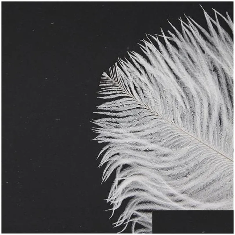 10pcs white ostrich feather plume 20-25cm for wedding centerpiece wedding decor party decor supply feative decor