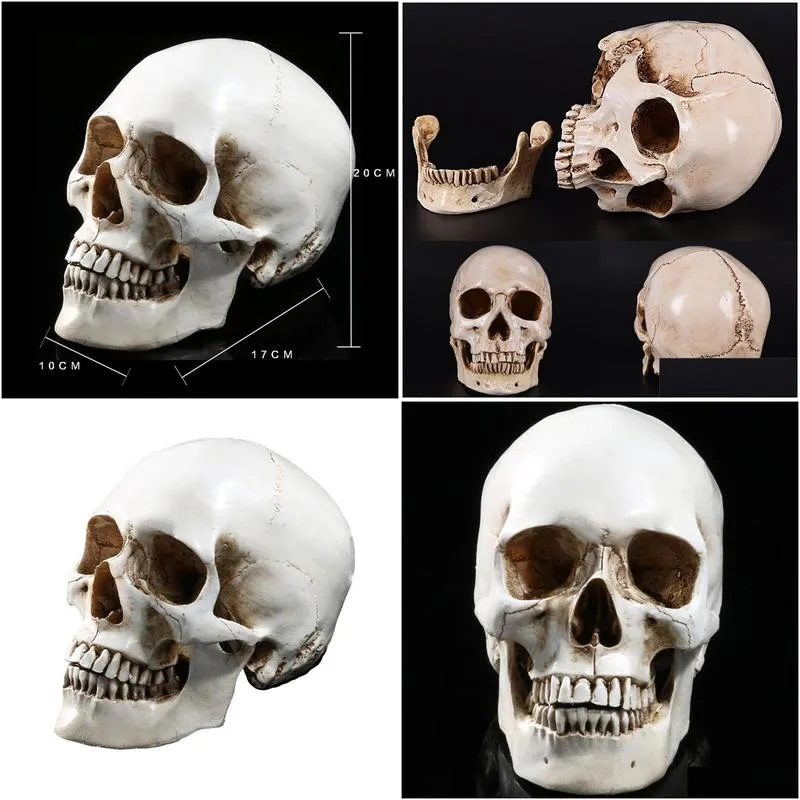 Lifesize Human Skull Model Replica Resin Anal Tracing Teaching Skeleton Halloween Decoration Statue Y201006