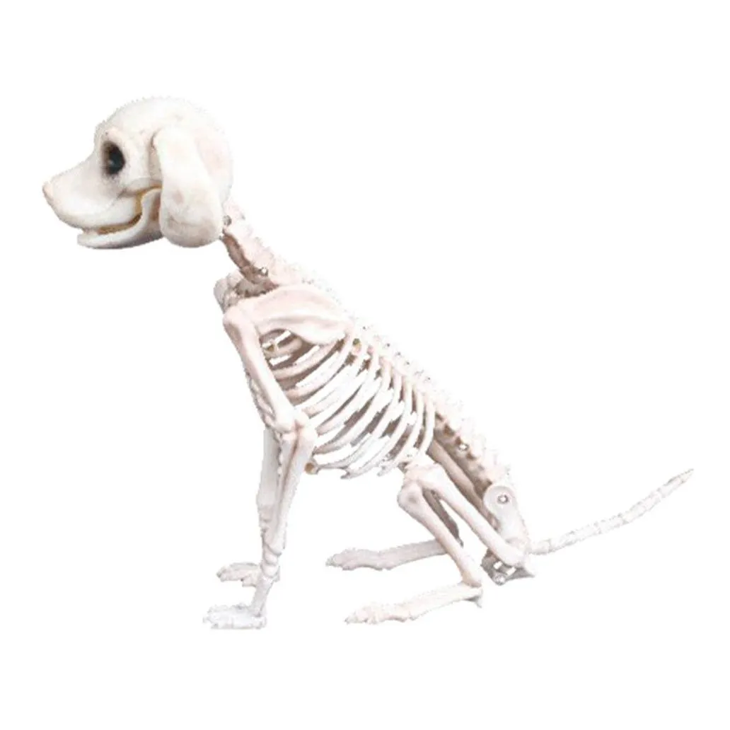 Halloween Skeleton Dog Prop Animal Bones Party Shop Decoration Horror Skull Props Y201006