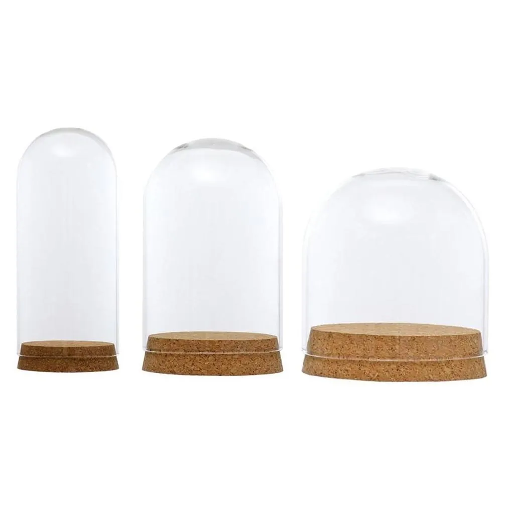 glass dome cloche cover wood cork base microlandscape holder bell jar for diy flower plants vase table ornaments home decoration