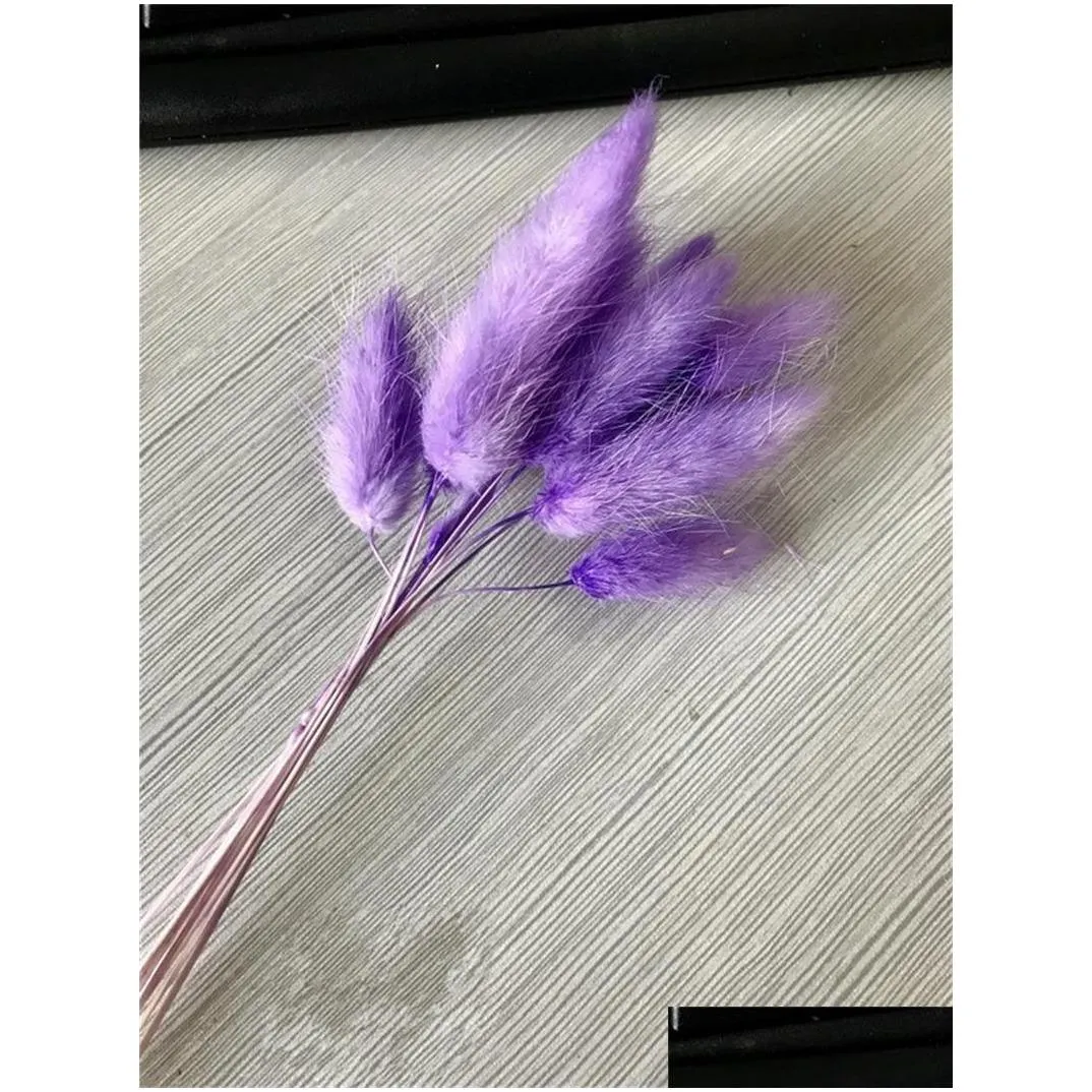 hare tail grass dried flower home decoration kitchen living room colorful bouquet diy a bunch of 10 branches new arrival 4kn