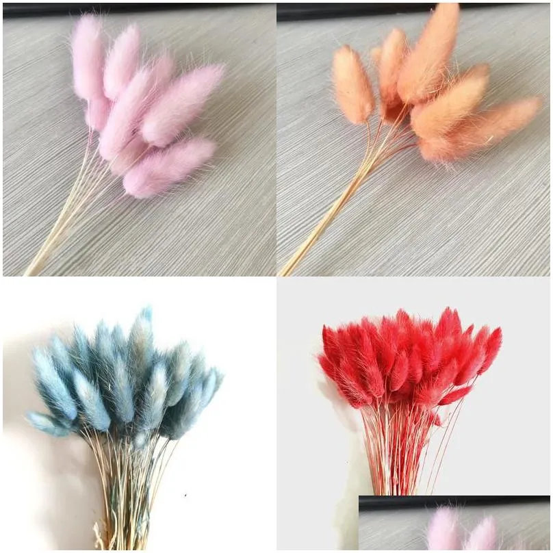 hare tail grass dried flower home decoration kitchen living room colorful bouquet diy a bunch of 10 branches new arrival 4kn