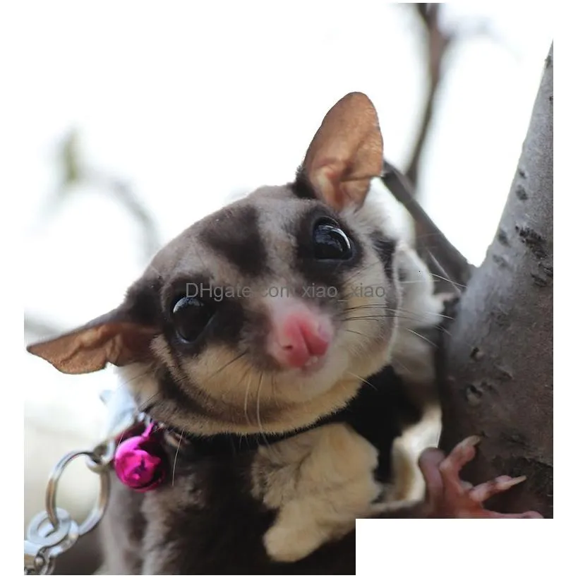 small animal supplies sugar glider towing harness little pet outdoor collar 3 size in one antilost clothes leash for leashes za212