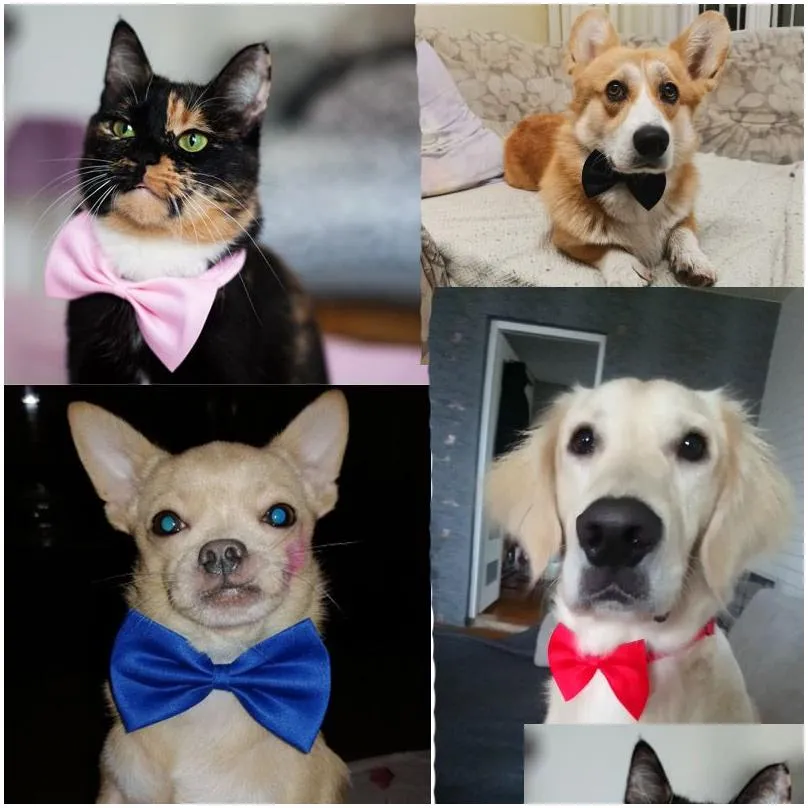Pet Cat Necklace Bow Tie Dog Adjustable Strap For Cat Collar Dogs Accessories Pet Dog Bow Tie Puppy Bowties Dog Supplies