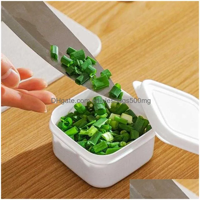  3pcs mini refrigerator food storage box kitchen meat sealed  box portable fridge kitchen organizer storage lunch containers