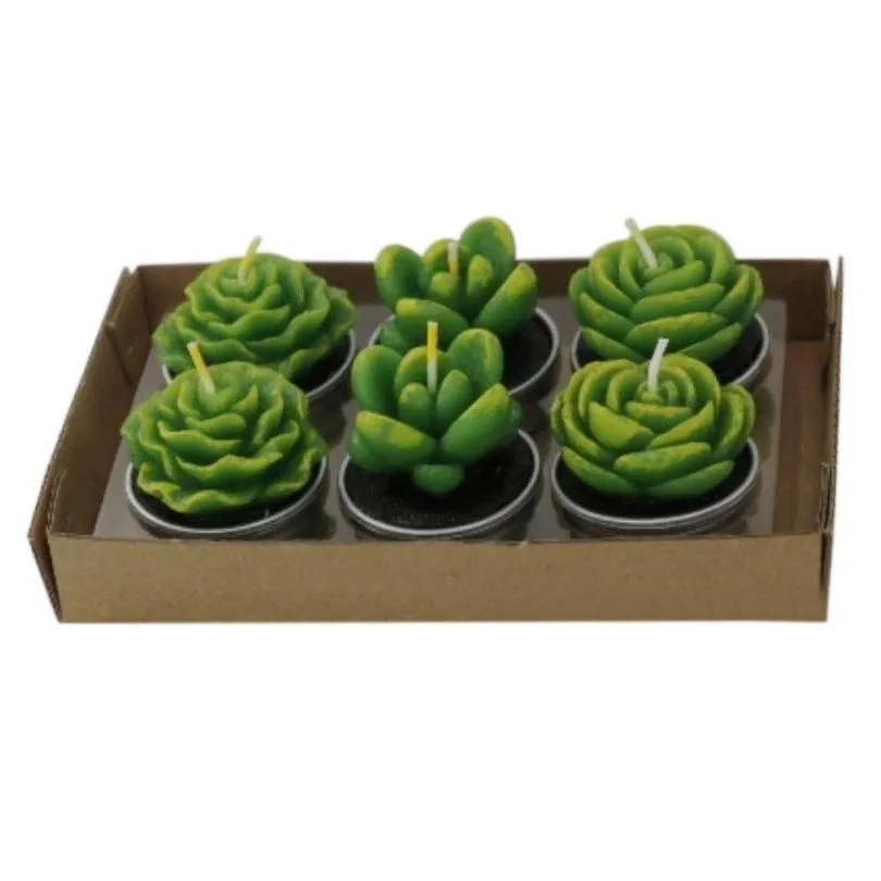 6pcs 12pcs Artificial Succulent Plants Cactus Candle For Birthday Party Wedding Feast Holiday Decoration home decor Y200531