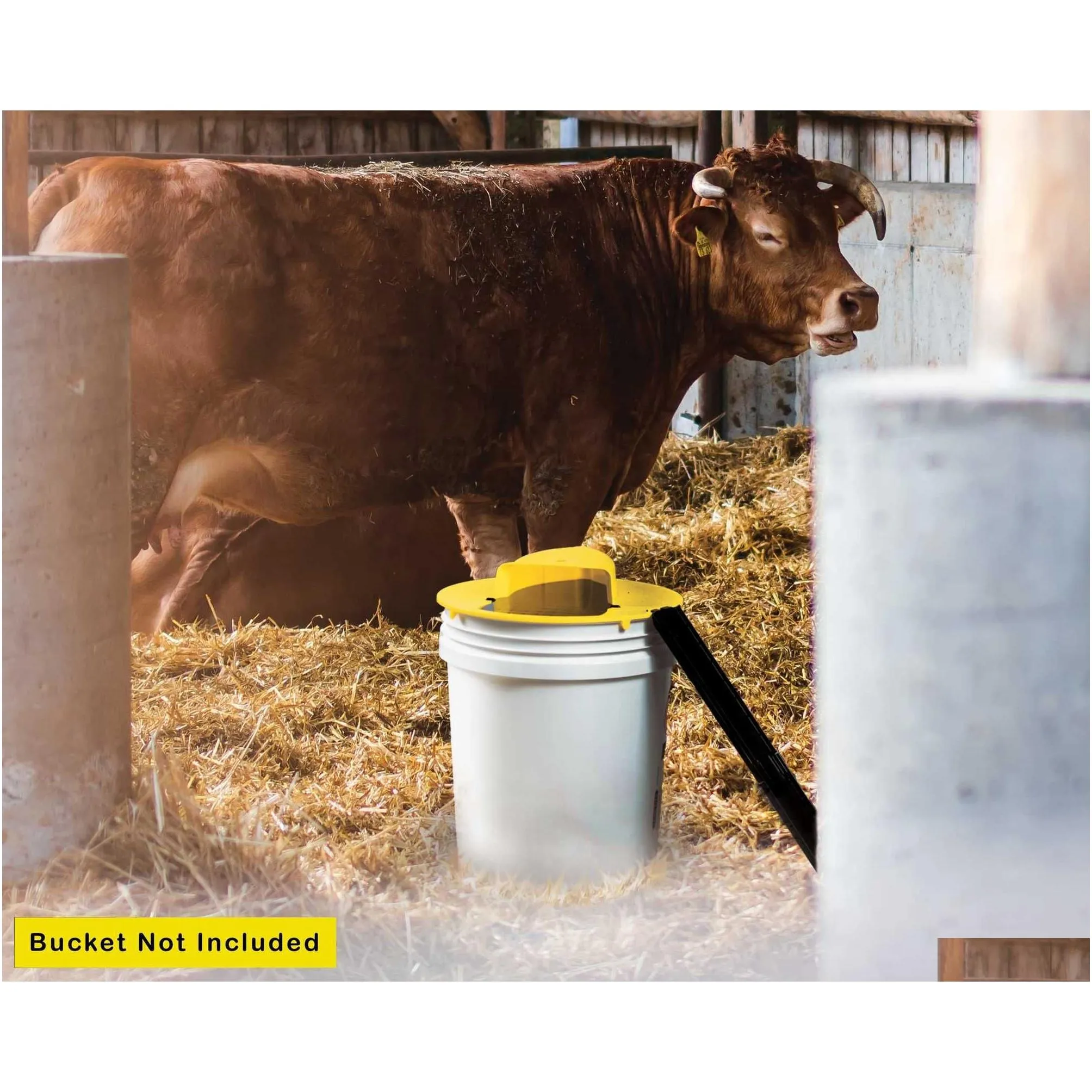 Rat Catching Bucket DHgate.com:Reusable Rat Trap Bucket Mouse Traps Catching Tool -Matic ...