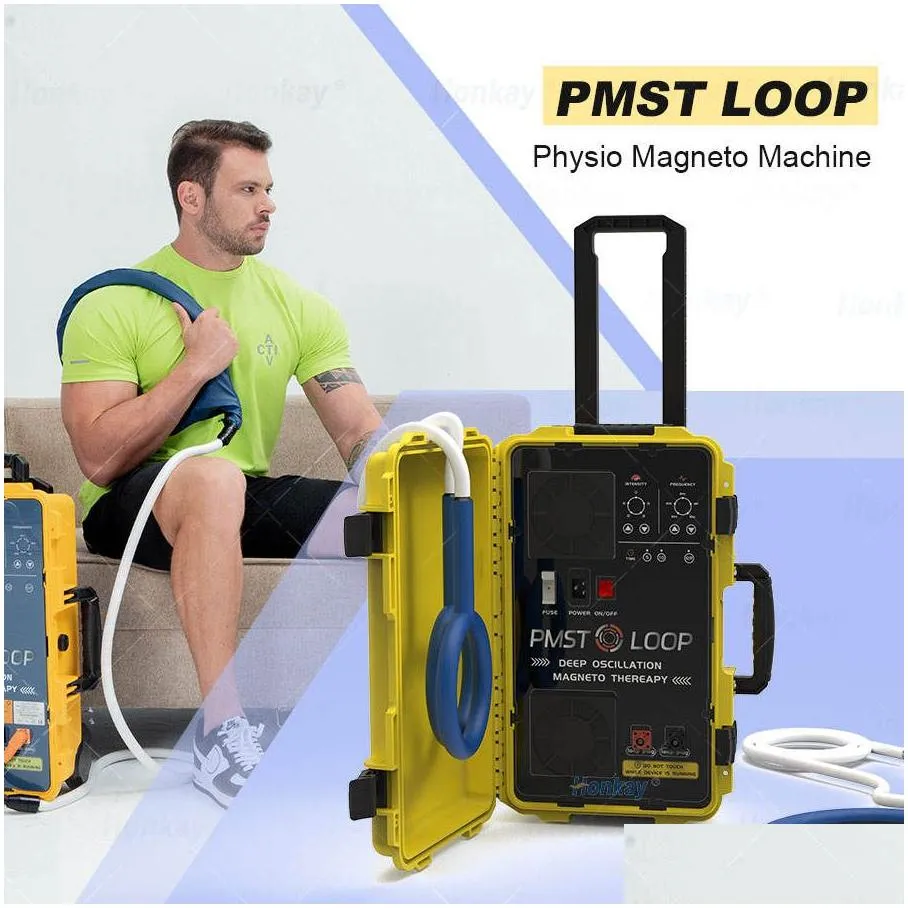 Health Care Pemf Pulsed Electromagnetic Physiotherapy Machine Pmst Loop For Pain Relief And Bones Repair Injury Recovery Physio Magneto