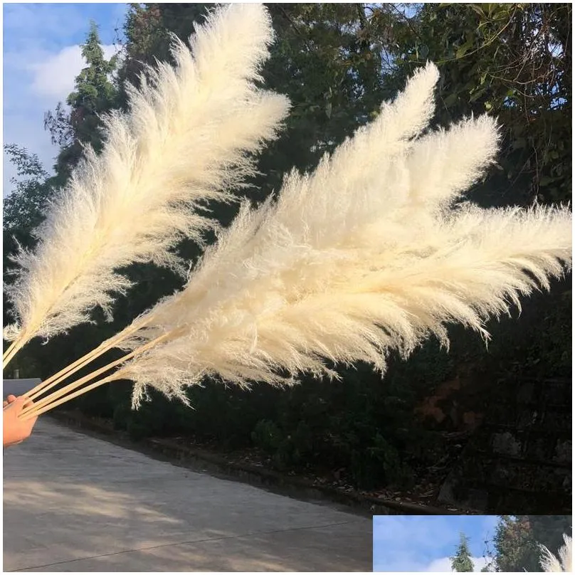 80cm Pampas Grass Natural Reed Wedding Dried Flower Large Ceremony Modern Home Decoration Valentines Day Fast Shipping