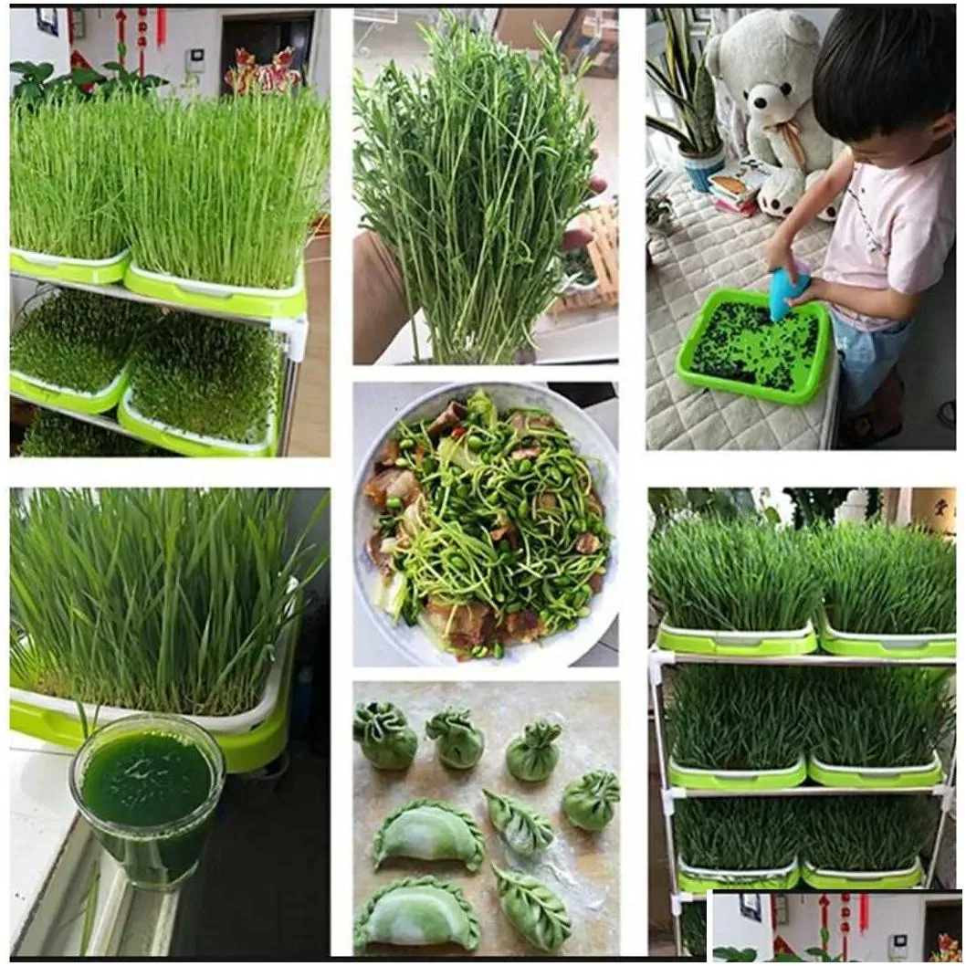 New Microgreens Sprouting Tray Hydroponic / Sprouting Tray For Sprout Horticultural Hydroponic Systems Tray Nursery Potted