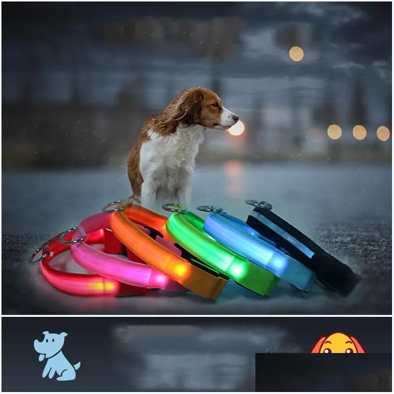 xl size led dog pet collar colorful light flashing luminous collar pet supplies glow safety tag xmas sale dh0177