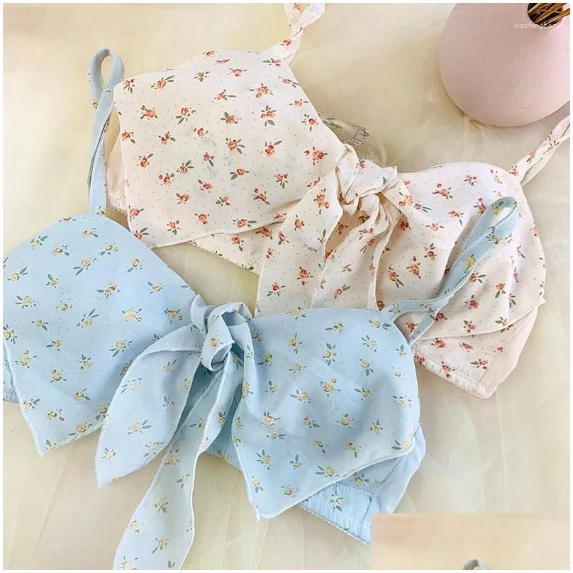 Bras Sets Japanese Cute Kawaii Lingerie Bra Thong Set Underwear Briefs For Women Girl Schoolgirl Lolita Lace Transparent And Panty