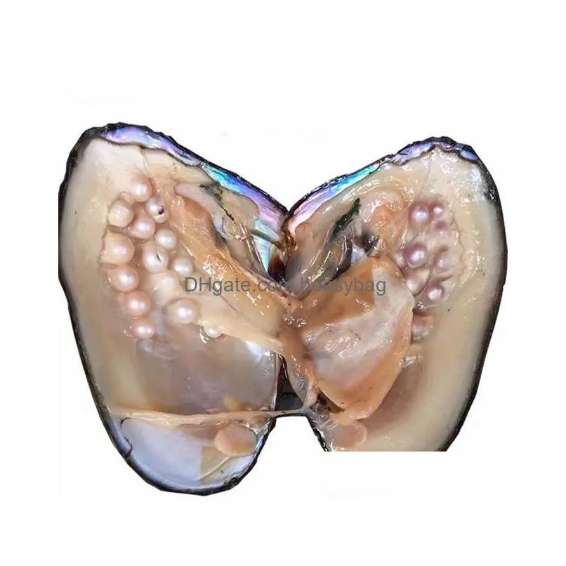 2018 new pearl wholesale individually vacuum packed big oyster with pearls cultured in  oyster pearl mussel farm supply