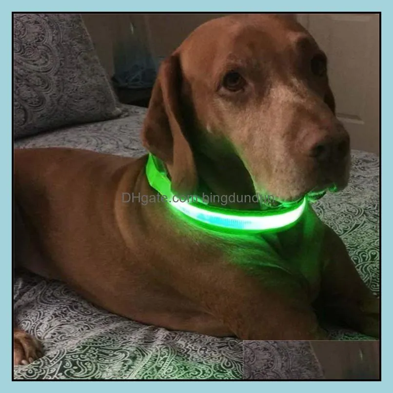 nylon led pet dog collar night safety flashing glow in the dark dog leash dogs luminous fluorescent collars pets supplies