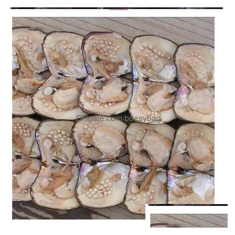 2018 new pearl wholesale individually vacuum packed big oyster with pearls cultured in  oyster pearl mussel farm supply