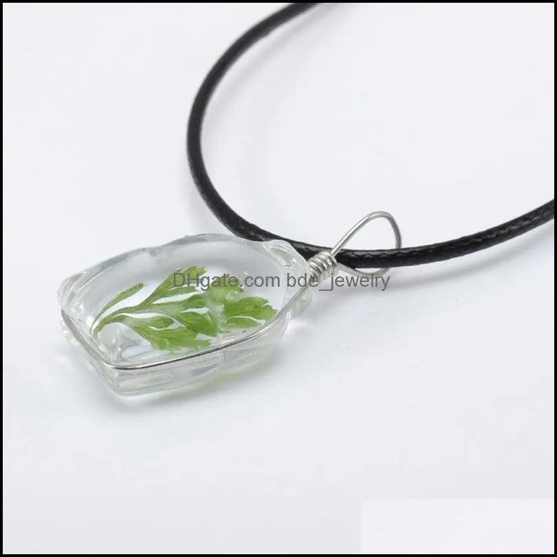 vintage wishing fashion mini glass seaweed sea grasses necklaces long pendants necklaces for unisex women men jewelry