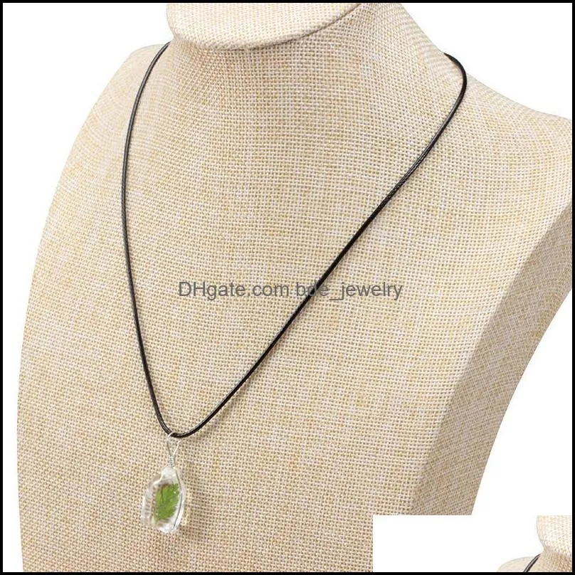vintage wishing fashion mini glass seaweed sea grasses necklaces long pendants necklaces for unisex women men jewelry