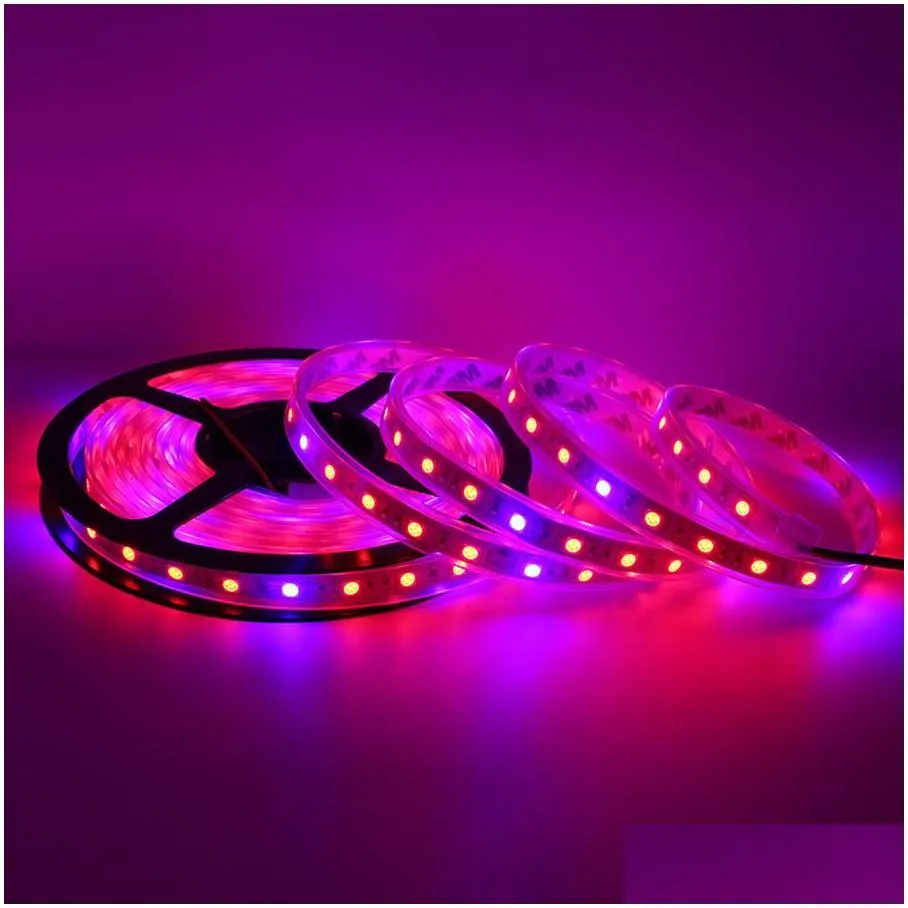 silicone waterproof 5m 300leds 5050 led plant grow led strip light full spectrum 5050 red blue 41 5 1 for greenhouse