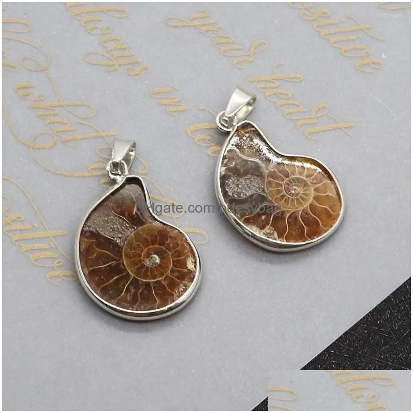 charms natural stone pendants ammonite seashell snail shaped for jewelry making diy necklaces earrings conch animal accessories