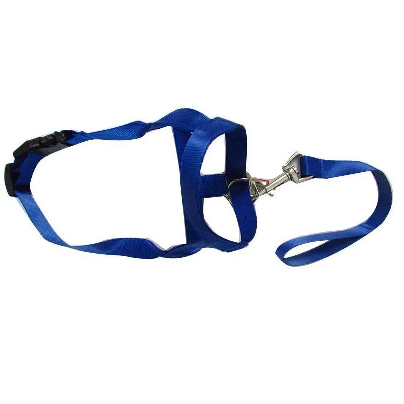 dog collars leashes adjustable creative halter training head collar gentle leader harness nylon breakaway leash lead no pull bite