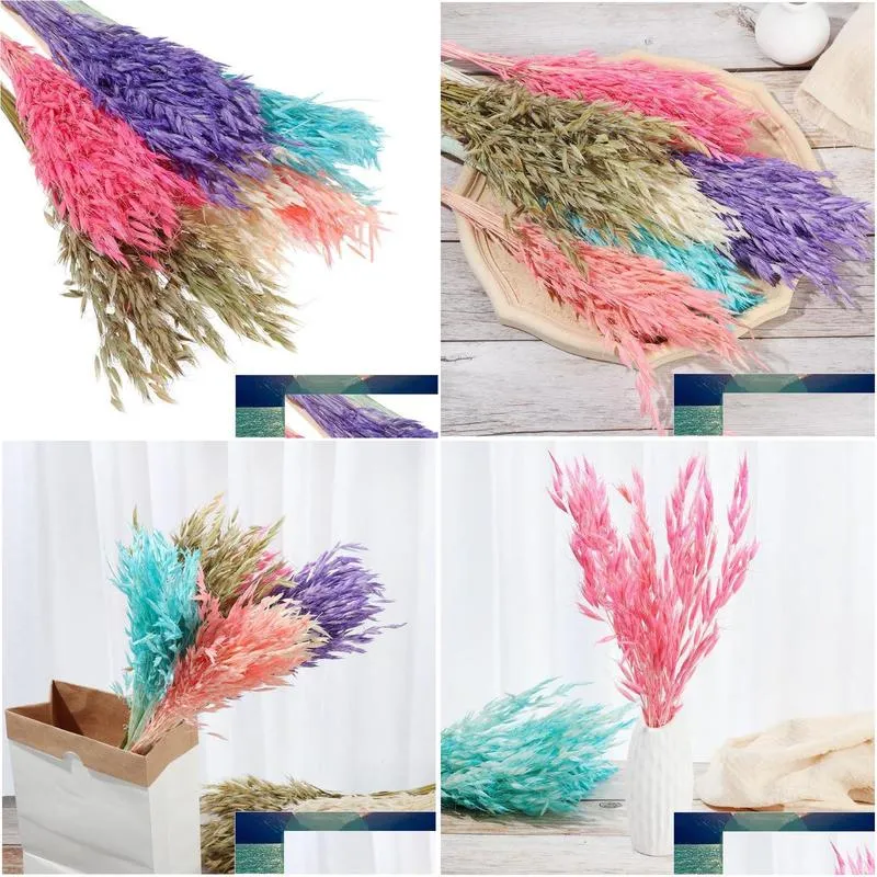 decorative flowers wreaths 25pcs colorful wheat ear grass dried bouquets natural material plant stems real flower shooting props