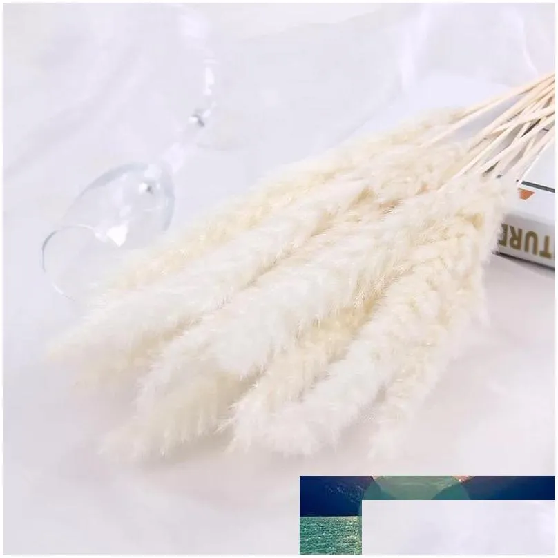 15pcs/lot real plants dried small pampas grass flowers pantas artificiales para decoracion home decor easter decoration