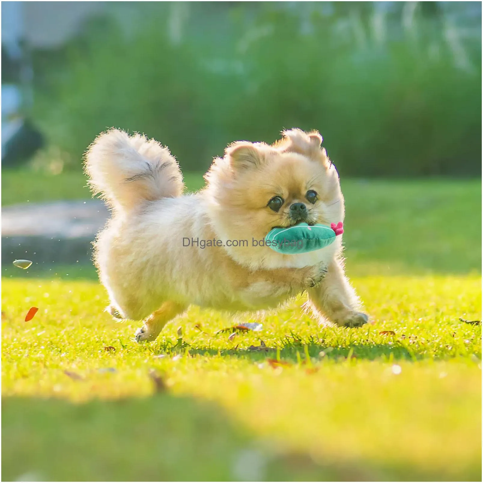 small dog toys durable puppy toys for teething small dogs cute dog toys small dogs plush squeaky dog toys reliable ropes puppy chew toys
