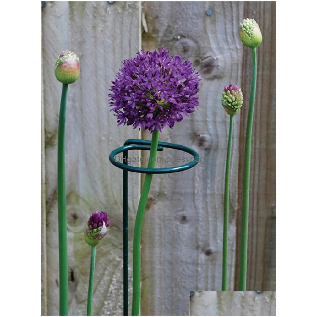 other garden supplies 5pcs plant climbing support iron pole flower stake tools orchid tomato fixing rod