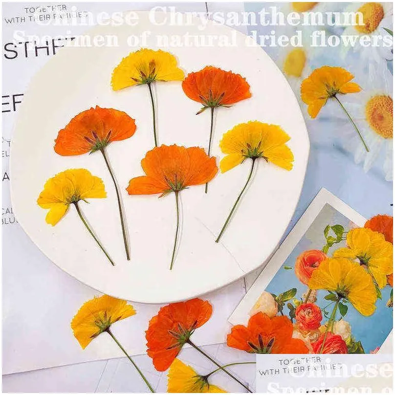 faux floral greenery 12pcs dried flowers chrysant natural pressed plants for epoxy resin pendant jewelry making craft diy nail art accessories