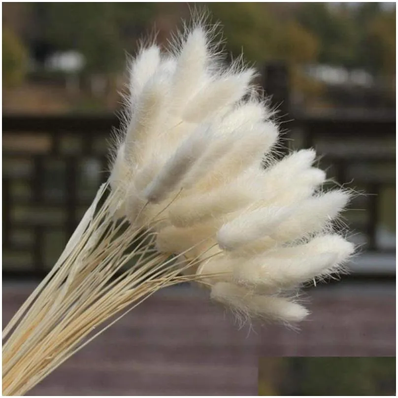 decorative flowers wreaths 30 stems dried flower tail natural plants floral grass bouquet home decoration accessories pograph