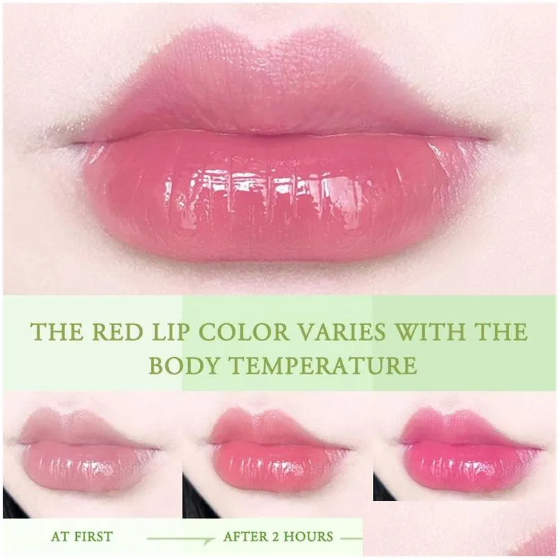 peinifen aloe vera gel lipstick gloss color changing moisturizer antidrying desalination finegrain lip blam care