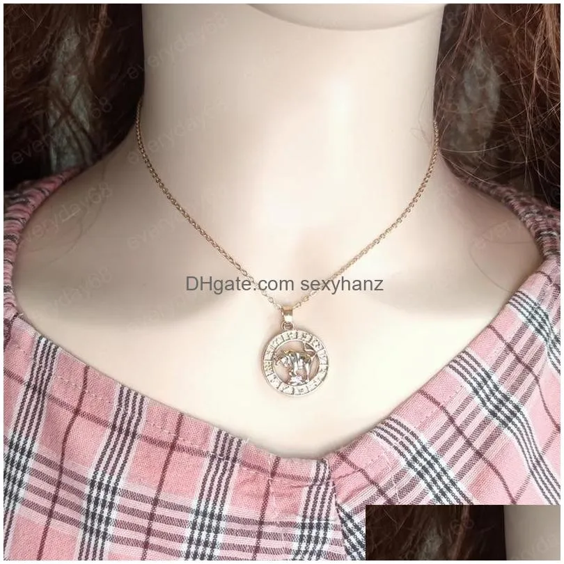 3d image zodiac sign pendant necklace round circle 12 constellations clavicle chain necklaces with card pack