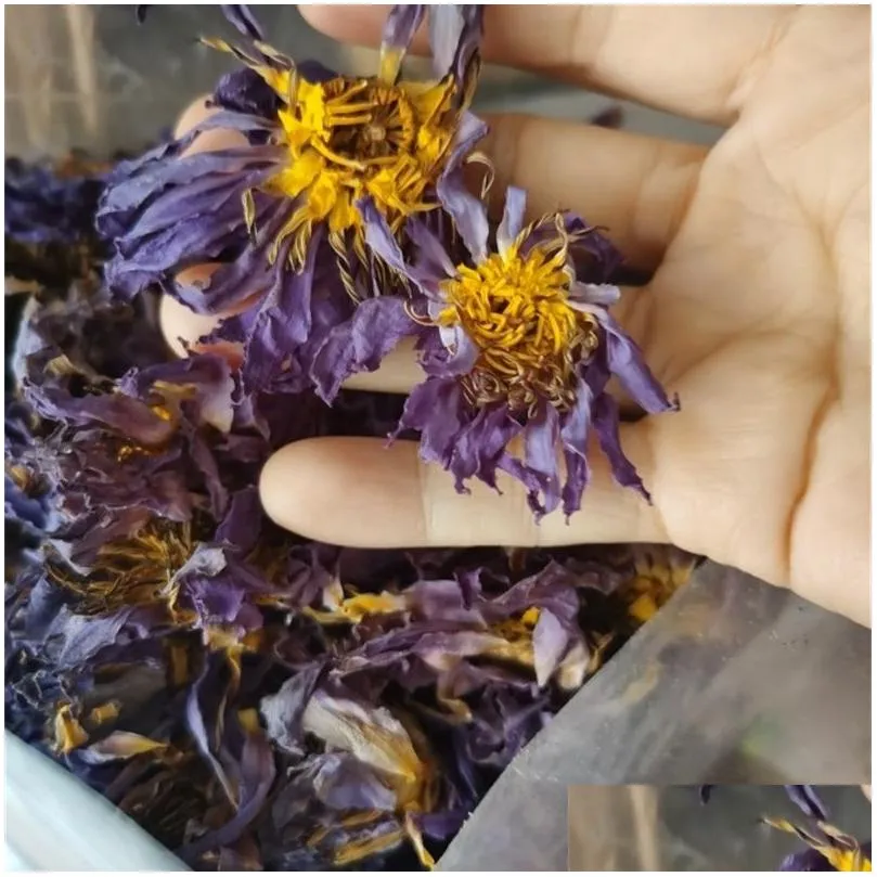 blue lotus dried whole flower nymphaea caerulea 210317