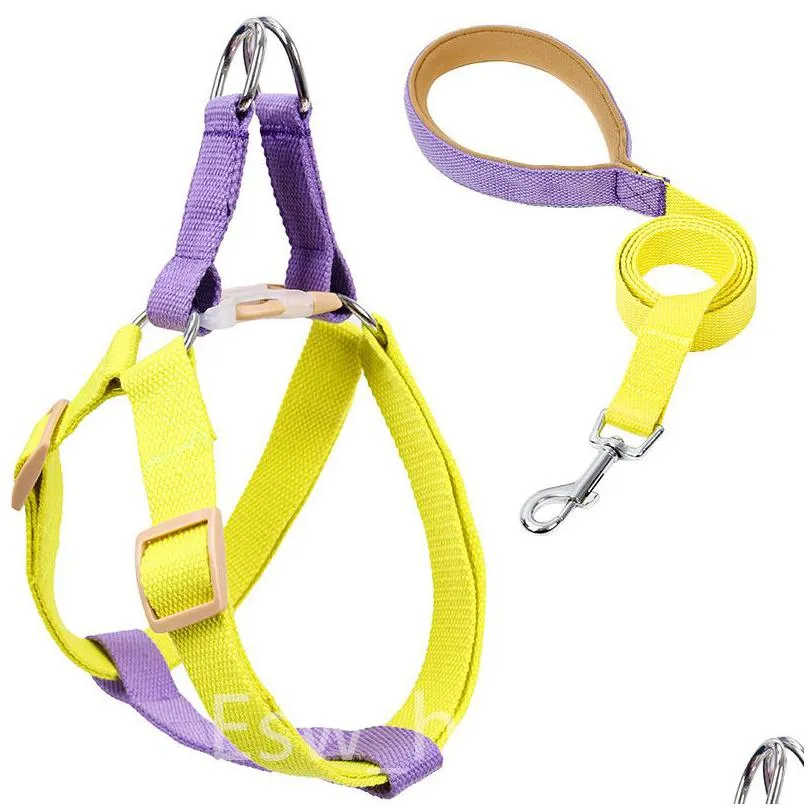 rainbow pet chest harness set no pull adjustable soft harness and leashes for puppy small medium