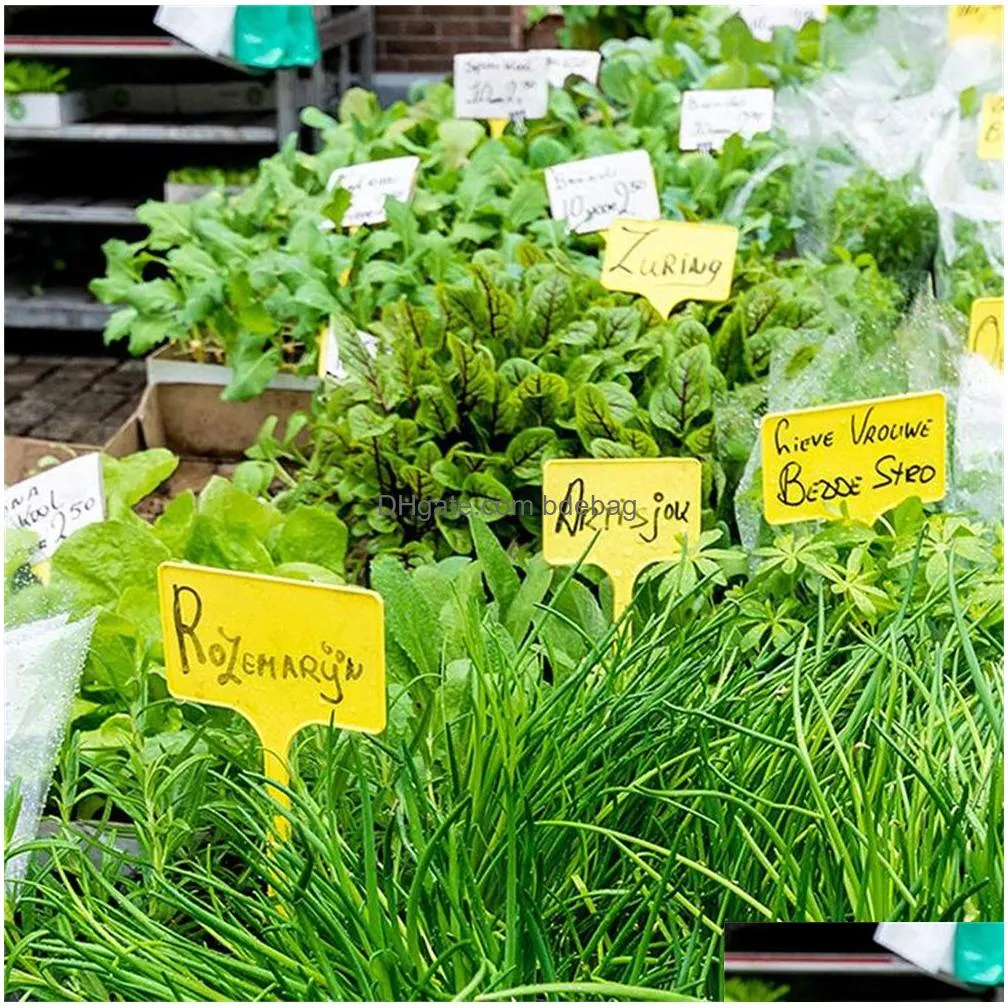 garden supplies large plastic plant labels t-type durable nursery garden markers tags for outdoor indoor herbs flowers vegetable potted plants