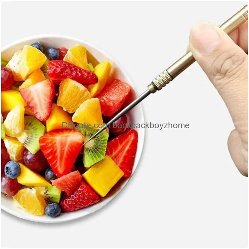 stainless steel portable toothpick non-toxic waterproof reusable pocket size outdoor camping picnic fruit fork