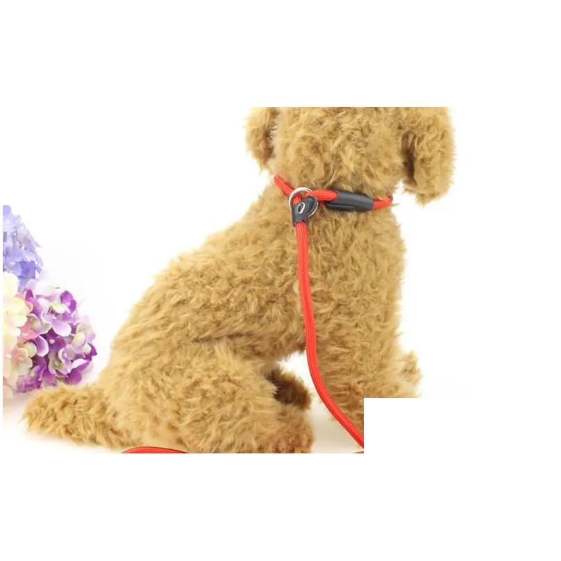 pet dog nylon rope training leashes slip lead strap adjustable traction collar dogs ropes supplies accessories 0.6x130cm