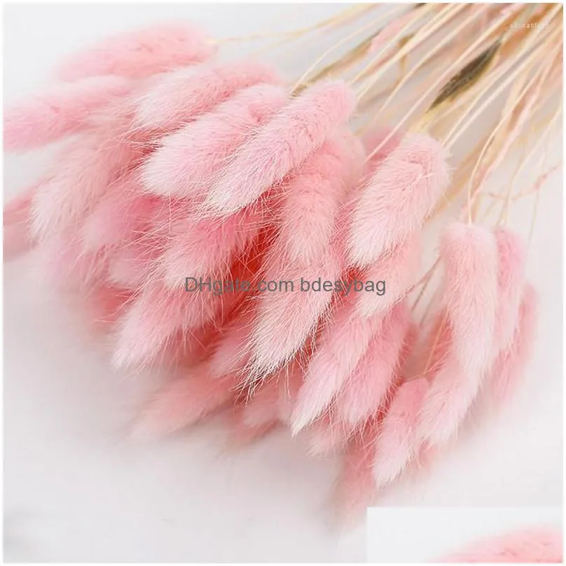 decorative flowers natural dried flower tail grass 20/50pcs/bunch colorful tails dry bouquets plant stems material home decor