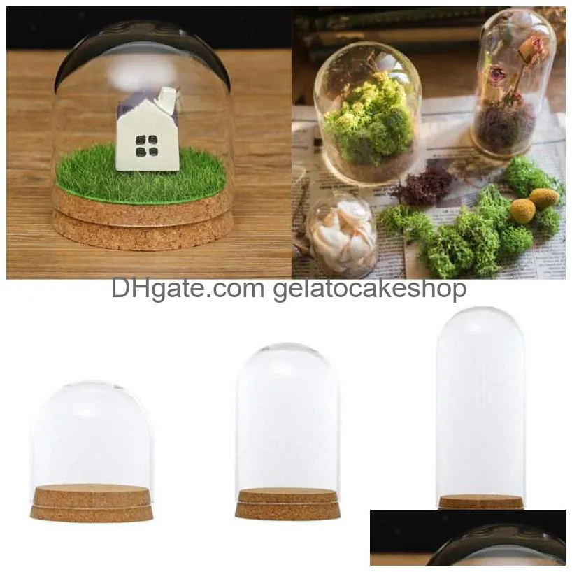 glass dome cloche cover wood cork base microlandscape holder bell jar for diy flower plants vase table ornaments home decoration