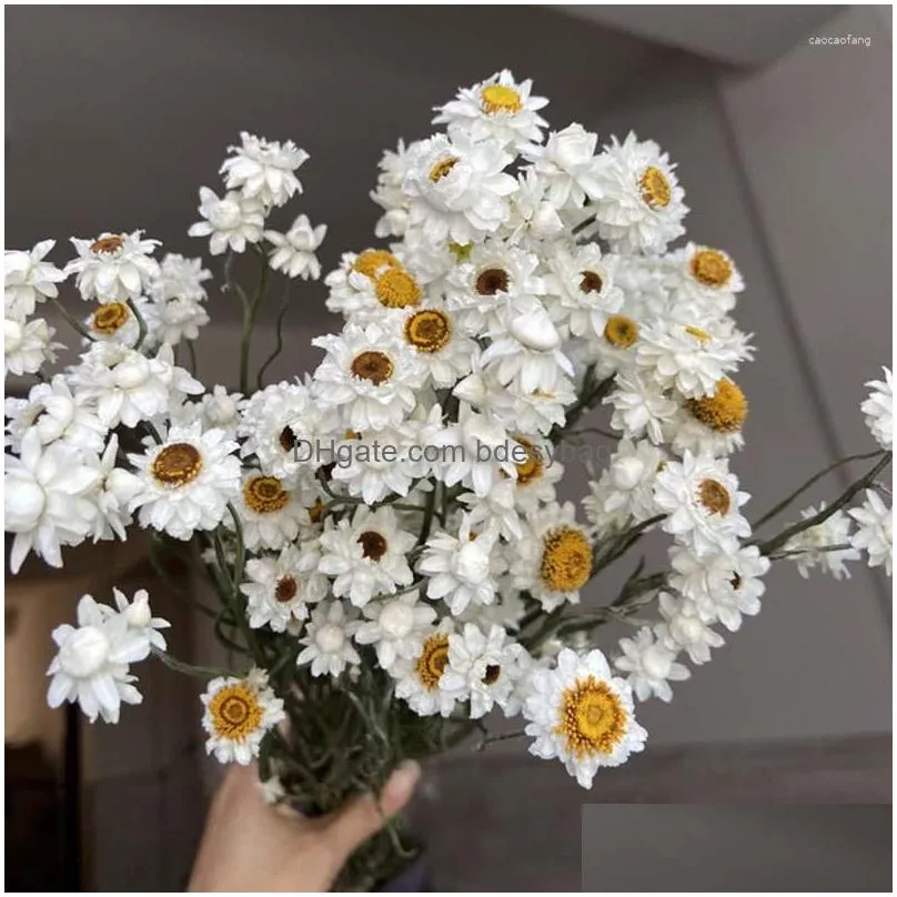 decorative flowers more than 60 flower heads/bundle diy wedding arrangement real natural dry white cineraria bouquet home decoration