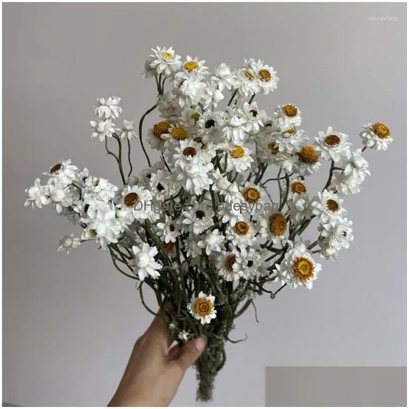 decorative flowers more than 60 flower heads/bundle diy wedding arrangement real natural dry white cineraria bouquet home decoration