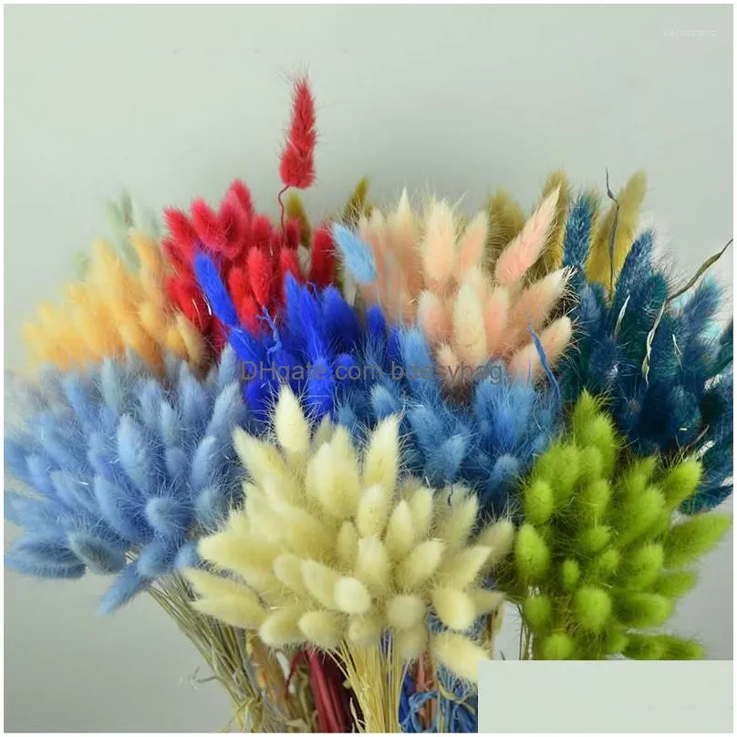 decorative flowers natural dried flower tail grass 20/50pcs/bunch colorful tails dry bouquets plant stems material home decor