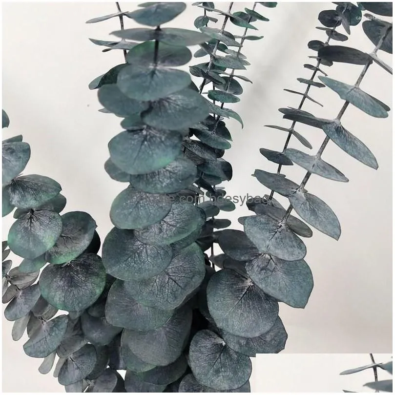 decorative flowers 40-45cm 5pcs/lot real natural dried eternal eucalyptus leaves bouquet for wedding home decoration accessories