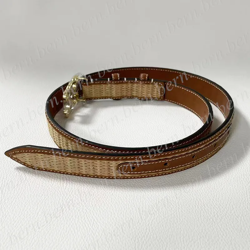 Premium Fashion Straw Woven Belt 2.5cm Width Women's Belt for Women Belts with Gift Box Christmas Gift