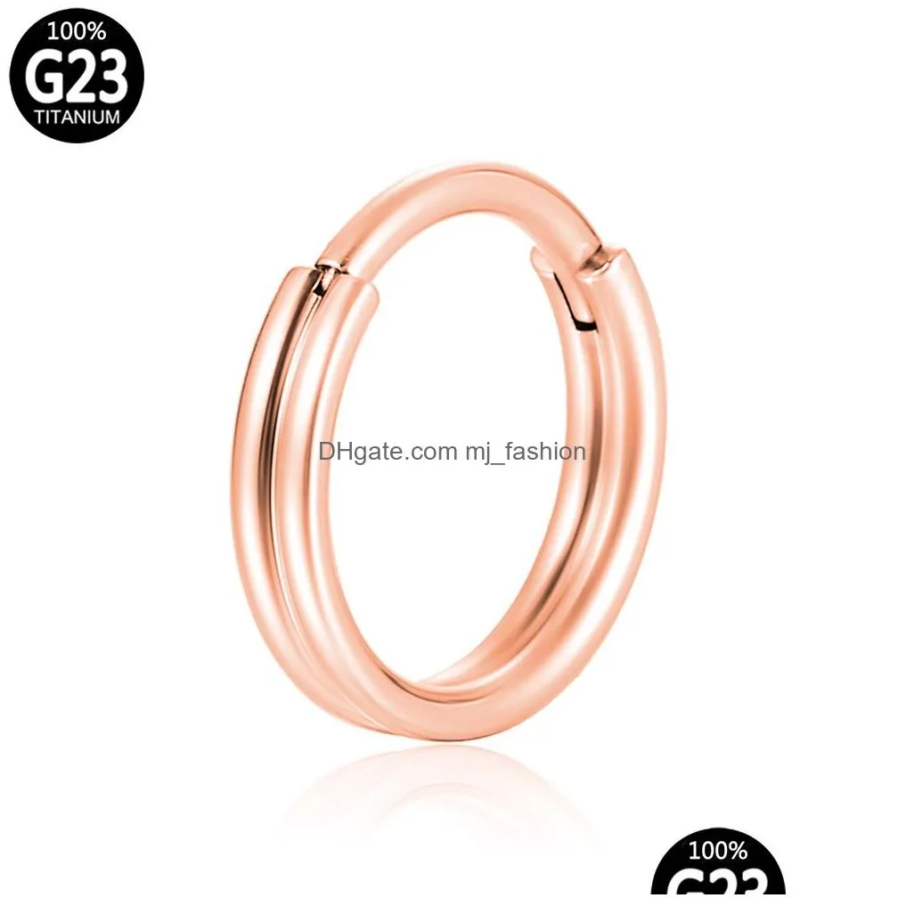 Nose Rings & Studs Septum Piercings Zircon Titanium Nose Ring G23 Hinge Labret Helix Segment Earrings Y Industrial Hoop Body Jewelry J Dhdgk